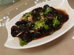 -宝园酒家(美林M·LIVE天地东座店)