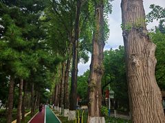 -吉林大学(前卫南校区)