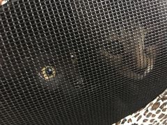 -瑞鹏宠物医院·夜间急症·心超·猫科(祖庙分店)