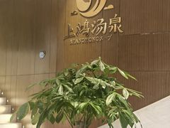-上鸿汤泉•易营+