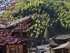 -林坑古村落