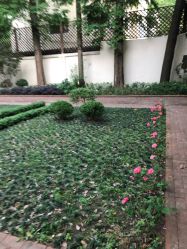 门面-M Nails & Beauty美甲美睫美体