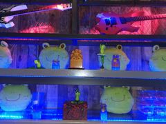 -蛙来哒(万豪城市广场黑金冠店)