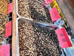 -昆虫窝子·特色云南菜(拓东路总店)