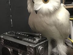 -567·密室逃脱(大良店)