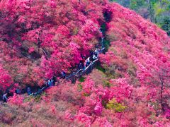 -木兰云雾山