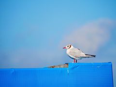 -铁路江上俱乐部