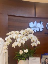 -洁铭新加坡医美