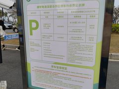 -芒洲湿地公园