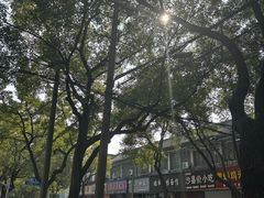 -缘顺缘兴玉米饼(吉杨路店)