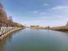-太湖湖滨国家湿地公园-停车场