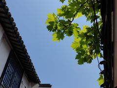 -金山嘴渔村