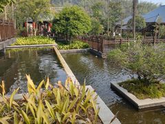 -灰汤华天城温泉