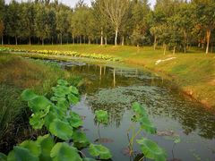 -东郊湿地公园