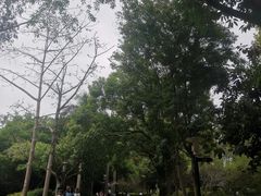 -深圳国际园林花卉博览园