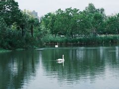 -武汉动物园