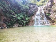 -南海湾森林生态园