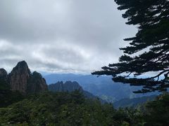 -黄山风景区