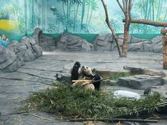 -秦皇岛野生动物园