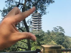 -缙云山景区