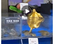 -新农都水产市场