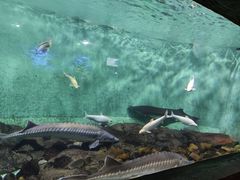 -太平洋海底世界