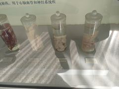 -北京中医药大学-中医药博物馆