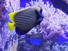 -烟台海昌鲸鲨海洋公园