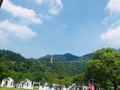 -南丹山森林王国