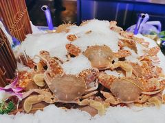 -九月海·海鲜自助(世纪东方店)