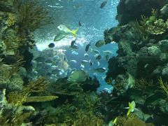 -上海海洋水族馆