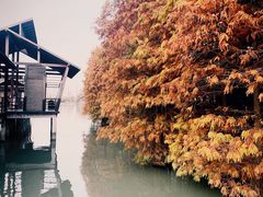 -溱湖国家湿地公园