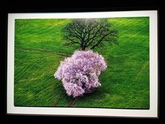 -罗红摄影艺术馆