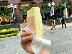 榴莲味-詹爷爷乌节路街头冰淇淋
