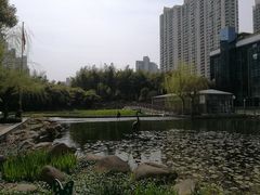 -苏州河梦清园环保主题公园