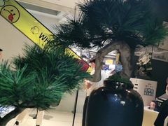 -青花椒花椒鱼(合生汇店)