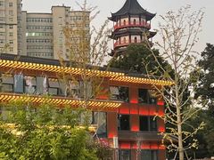 -绳金塔