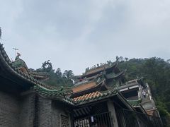 -南海湾森林生态园