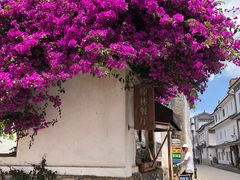 -喜洲翰林餐厅(董家百年老宅店)