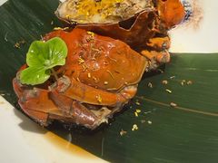 -打酱油·非遗淮扬菜(瘦西湖梅岭老店)