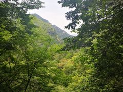 -北京上方山国家森林公园