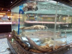 -旺豪阳光超市(友谊阳光城店)