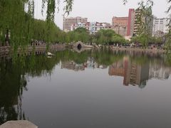 景点-文瀛公园