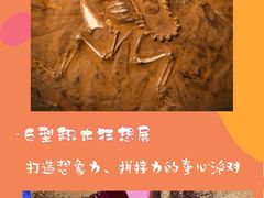 -中华恐龙园