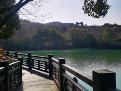 -白马涧龙池景区