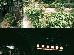 -宝翠花园餐厅(沙湖店)