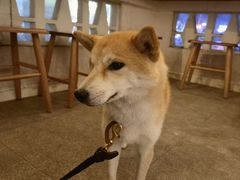 -三目仓咖啡(贤南路店)