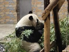 -青岛动物园
