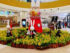 店内环境-凯德广场(西城店)