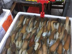 -蚝专家(北滘店)